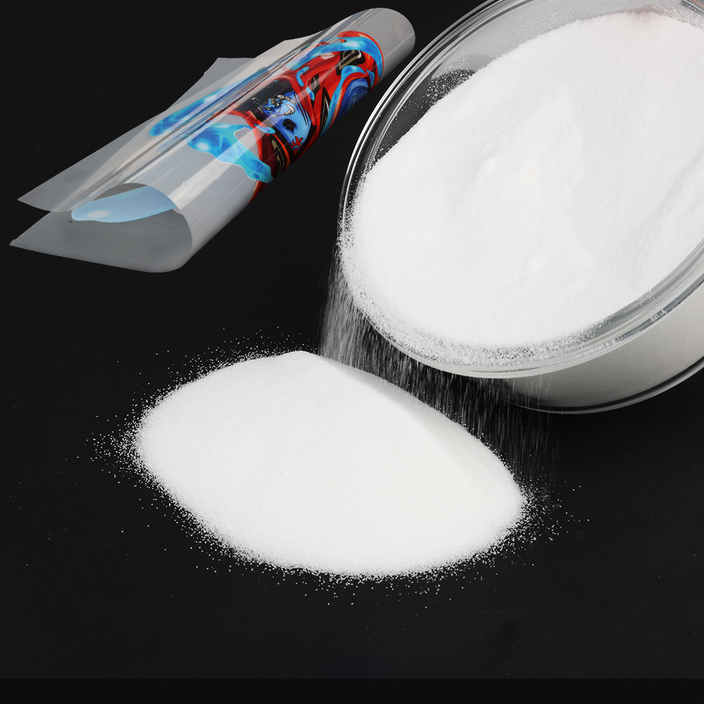 Poudre DTF fine 1 kg (1000g) p - Solvent Printer Ink avis et prix