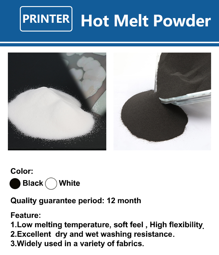 Poudre DTF fine 1 kg (1000g) p - Solvent Printer Ink avis et prix